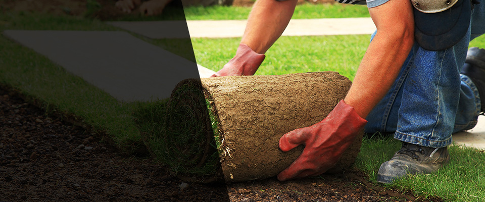 Crab Orchard Landscapers